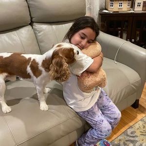 Meet your Posher, Nancy